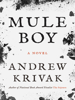 cover image of Mule Boy